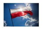 Projekt bez tytułu (1)